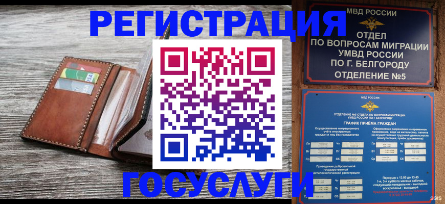 временная регистрация гарантия в Дмитрове